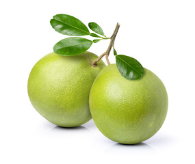 green pomelo citrus fruit on tree branch isolated white background
