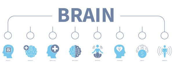 Fototapeta na wymiar Brain banner web icon vector illustration concept 