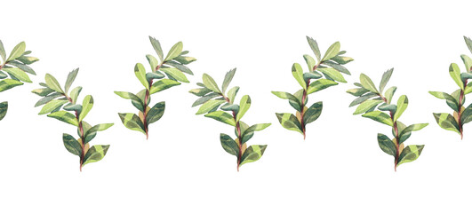 Seamless rim with watercolor tree alder on white background. Hand-drawn green bush with leaves and buds. Nature branch for invite card, wedding celebration and sticker. Border for wallpaper wrapping