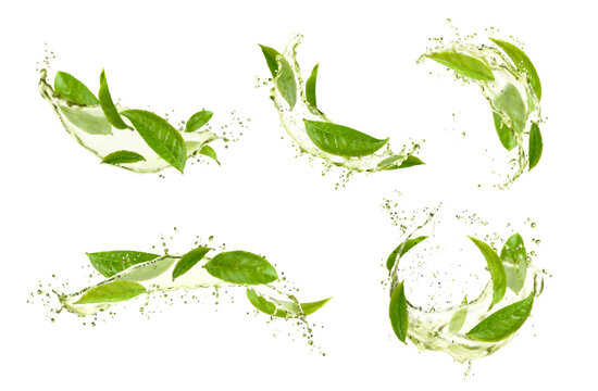 Green herbal tea leaves, wave splash and swirl with water drops. Vector 3d flow, swirl, wavy spill and round splash of transparent green drink with flowing tea tree leaves, droplets and ripples