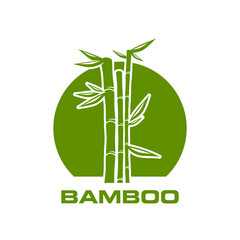 Asian bamboo icon, spa massage, beauty and health symbol. Spa and massage salon nature icon, beauty eco product bamboo vector graphic emblem or organic packaging jungle forest plant circle symbol