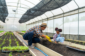 Happy little African child girl learning to grow organic vegetable with farmer in greenhouse...
