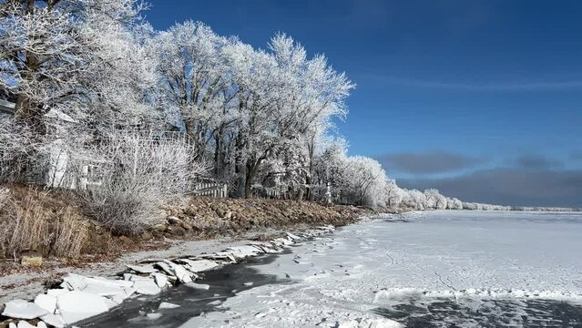 Pan across frosty trees near a frozen lake in winter