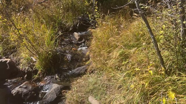 Small rocky stream flows through autumn grasses