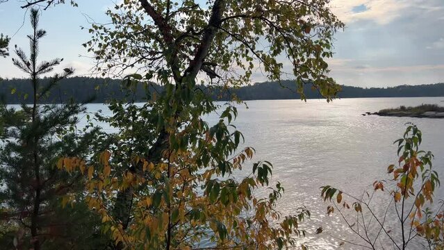 Pan across lake island bay as bird soars above