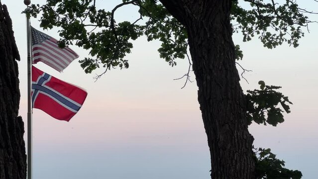 American and Norwegian flags wave gently next to tree silhouetted against a soft sky