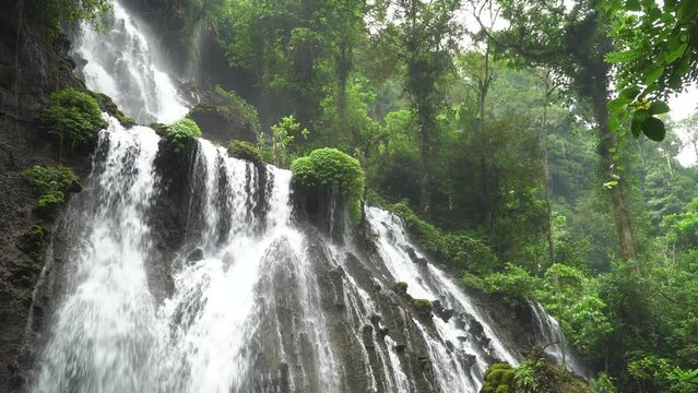 A waterfall cascades down rocks surrounded by trees in a forest setting