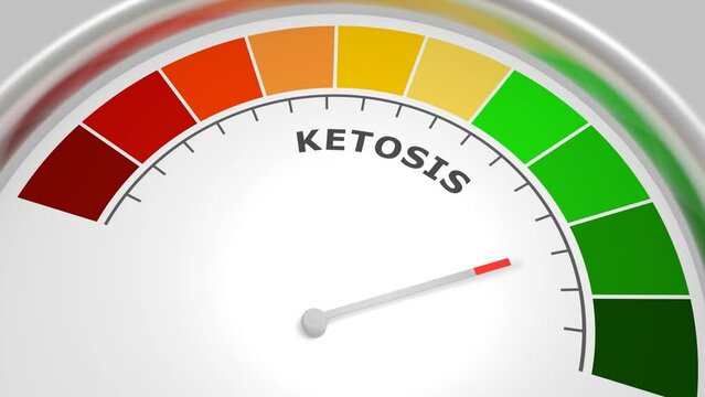 Ketosis level on measure scale. Instrument scale with arrow. Colorful infographic gauge element. Ketosis is a metabolic state