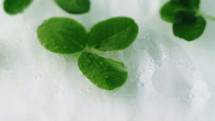 Natural oil. Herbal essence. Defocused green fresh foliage leaves floating in gel bubble texture...