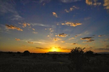 A golden sunset at Tsavo National Park, Kenya, Africa