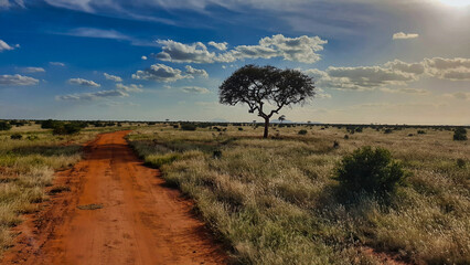 Safari trails stretch into the distance across the vast red plains of Kenya's largest national park at Tsavo East, Kenya, Africa