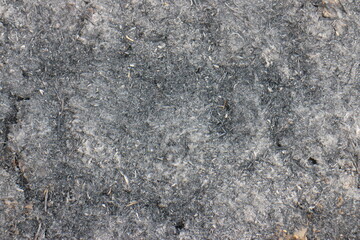 Black burnt grass, consequences after fire, soil damaged by fire and high temperatures. Vintage background close-up. Horizontal photography.