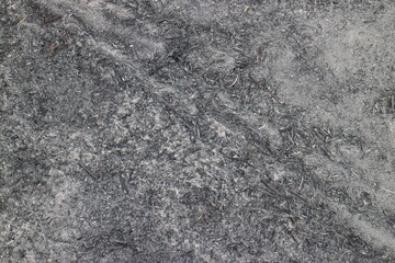 Black burnt grass, consequences after fire, soil damaged by fire and high temperatures. Vintage...