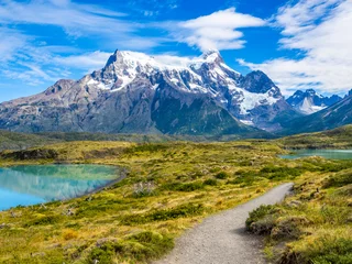 Papier peint adhésif Cuernos del Paine Nordenskjöld Lake in Torres del Paine National Park in Chile Patagonia