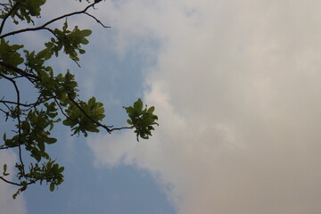 Overcast sky with dark clouds, The gray cloud ,Before rain