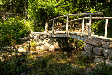 Fototapeta premium Bridge Path