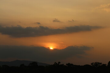 Typical panorama sunset landscape with trees. Tree silhouette against a big orange round setting sun. Dark tree on open field dramatic sunrise. Sky at dawn with clouds, twilight background.