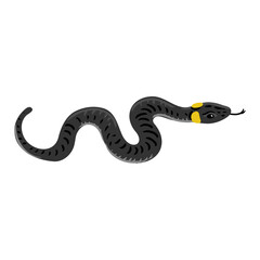 vector drawing ringed snake isolated at white background, hand drawn illustration