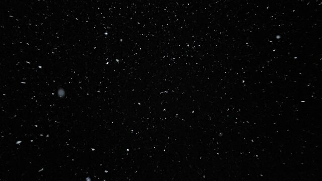 Falling snow on a black background - looking up