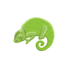 vector drawing green chameleon isolated at white background, hand drawn illustration