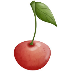 Cherry watercolor elements so cute 