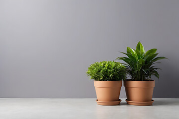 Plant in pots with copy-space background concept, blank space. Tropical Tranquility: Exotic Plants in Serene Pots