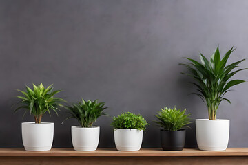Plant in pots with copy-space background concept, blank space. Leafy Elegance: Stylish Potted Plant Arrangements