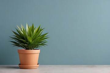 Plant in pots with copy-space background concept, blank space. Pottery Paradise: Pots Filled with Fresh Foliage