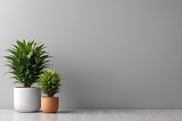 Plant in pots with copy-space background concept, blank space. Leafy Luxe: Elegant Plants Displayed in Pots - obrazy, fototapety, plakaty