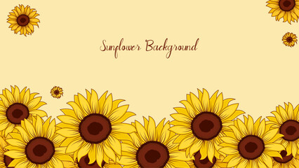 Sunflower background spring