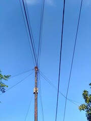 low angle view of power line under clear blue sky and tree leaves on the side