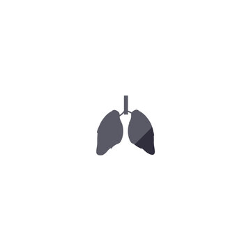 vector lung health transplantation health
