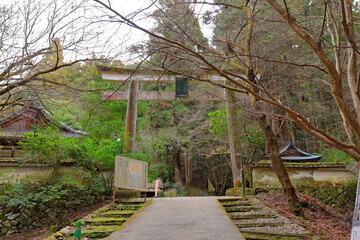Fototapeta na wymiar Garden in Daigo-ji Temple a Buddhist temple with 5-story pagoda, at Daigohigashiojicho, Fushimi Ward, Kyoto, Japan