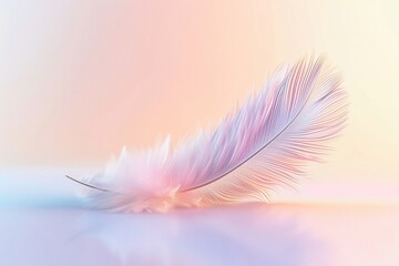Feather on pastel background, soft focus, gentle hues, tranquil mood