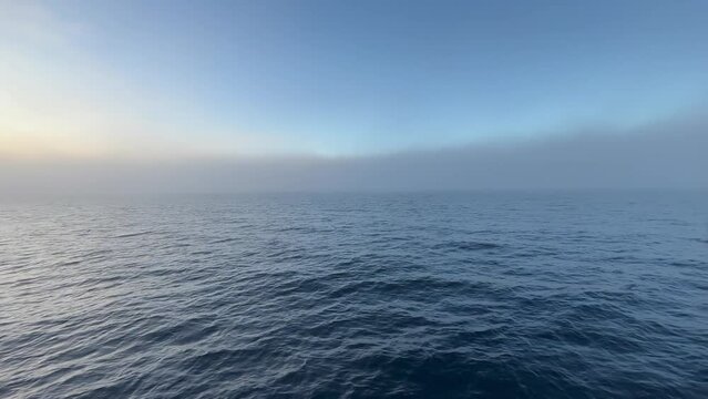 Foggy morning in Hvalrosbugt. Scoresbysund, Greenland.