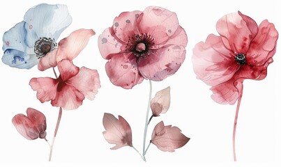 Three watercolor flowers in vibrant hues are displayed against a clean white background, showcasing delicate petals and intricate details