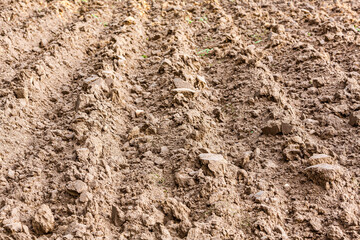 plowed land on early spring. rows of furrows in fields prepared soil for sowing. - 773677831
