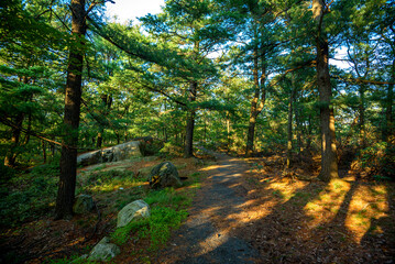 Hot Day on Bear Mountain