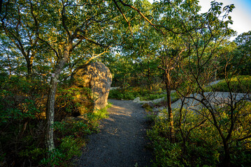 Hot Day on Bear Mountain