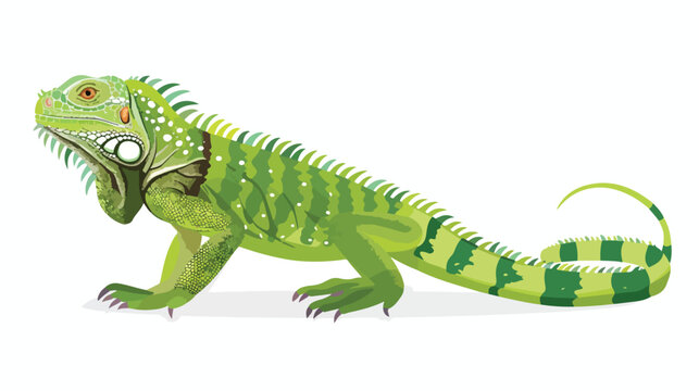 Green iguana on white background illustration flat