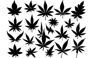 Fototapeta premium pattern with black and white leaves