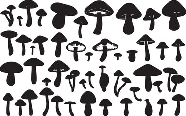 Black and white sketch of mushrooms