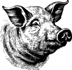 wild boar vinyl vector illustration