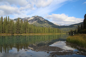Fototapeta na wymiar Morning On The Bow River, Banff National Park, Alberta