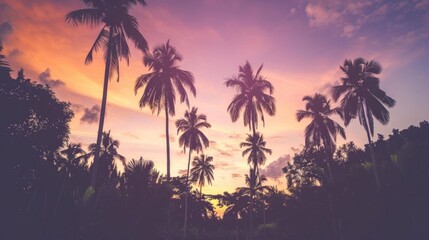 Silhouettes of palm trees stand out against a vibrant tropical sunset