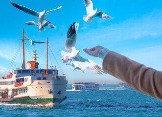 Seagull feeding - Very friendly seagull takes bagel from girl's hand - Istanbul, Turkey