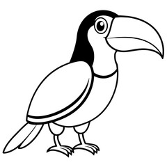 bird illustration