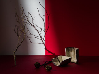 Modern still life with a dry branch on a bright background