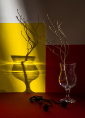 Modern still life with a dry branch in a wine glass on a bright background