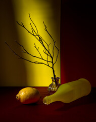 Modern still life with a dry branch on a bright background